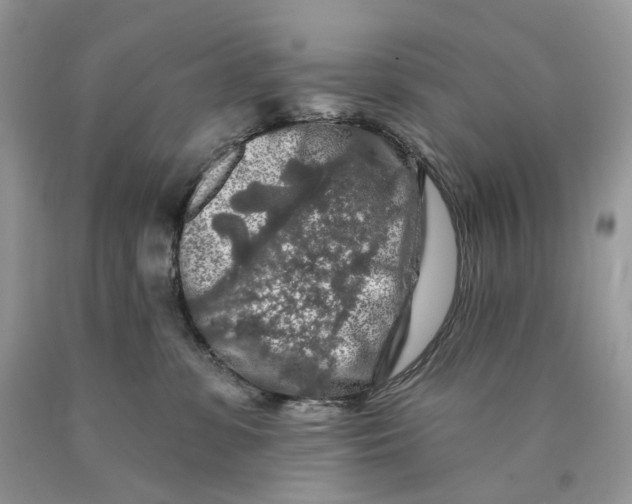 X0000089910331200707201801