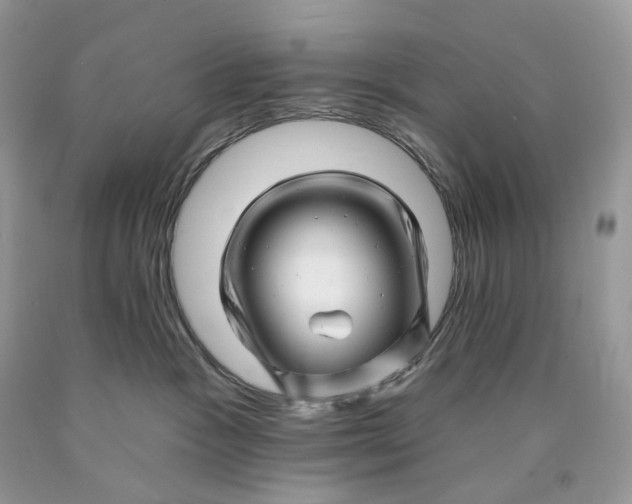 X0000089910333200707201801