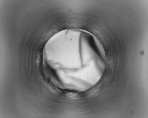 X0000089910334200707201801