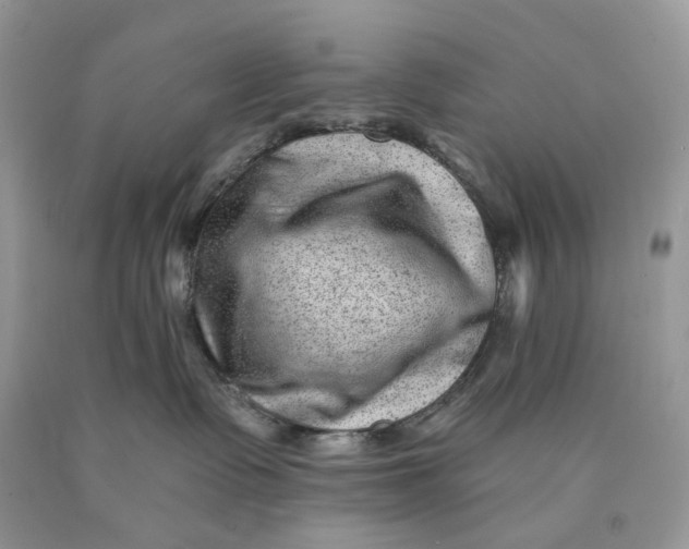 X0000089910335200707201801