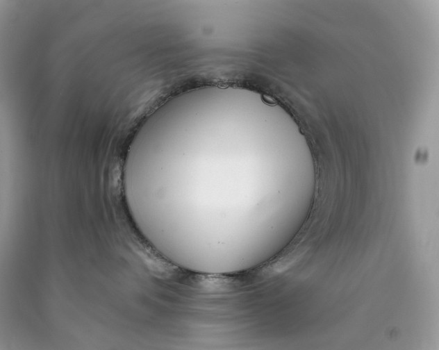 X0000089910336200707201801