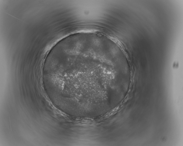 X0000089910337200707201801