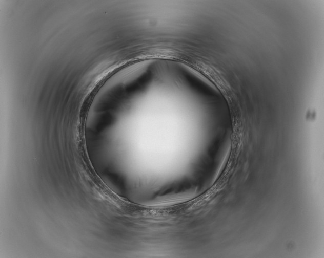 X0000089910338200707201801