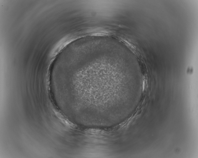 X0000089910339200707201801