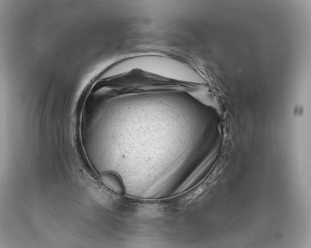 X0000089910342200707201801