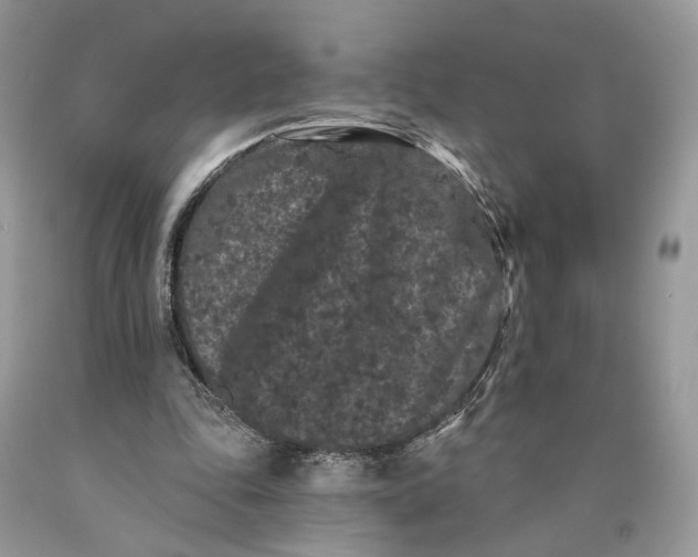 X0000089910343200707201801