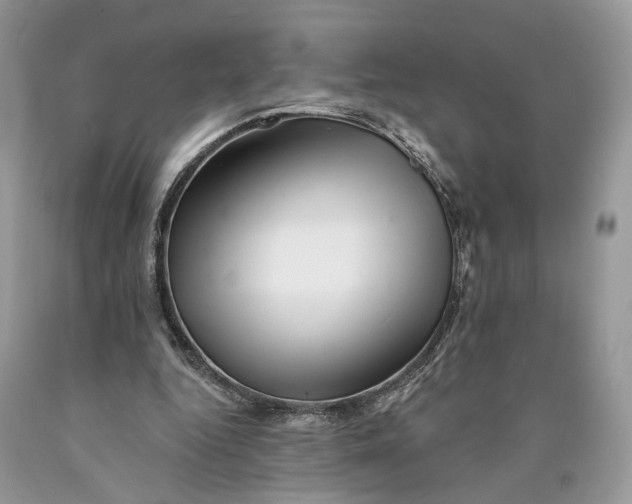 X0000089910344200707201801