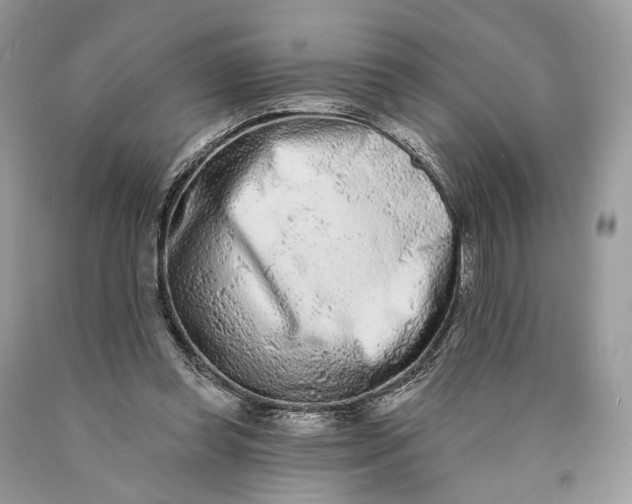 X0000089910349200707201801