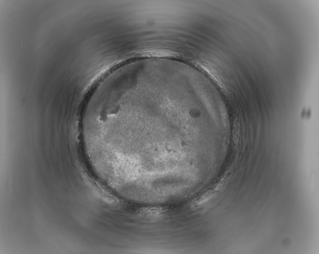 X0000089910351200707201801