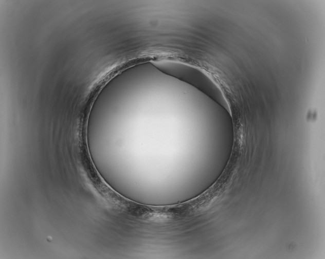 X0000089910352200707201801