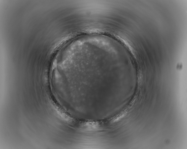 X0000089910353200707201801