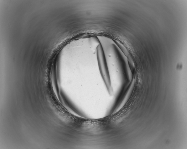 X0000089910354200707201801