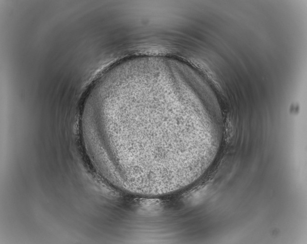 X0000089910355200707201801