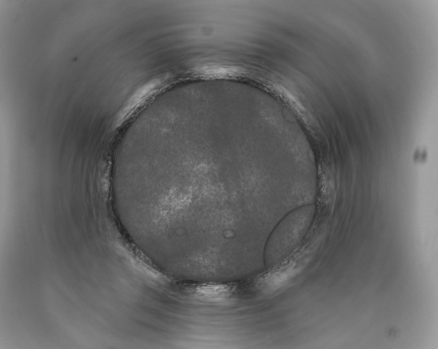 X0000089910357200707201801