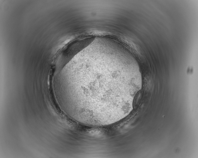 X0000089910358200707201801