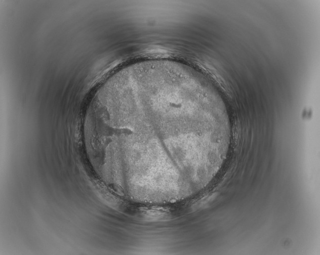 X0000089910359200707201801