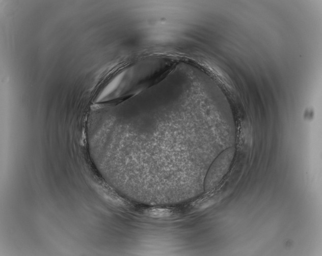 X0000089910361200707201801