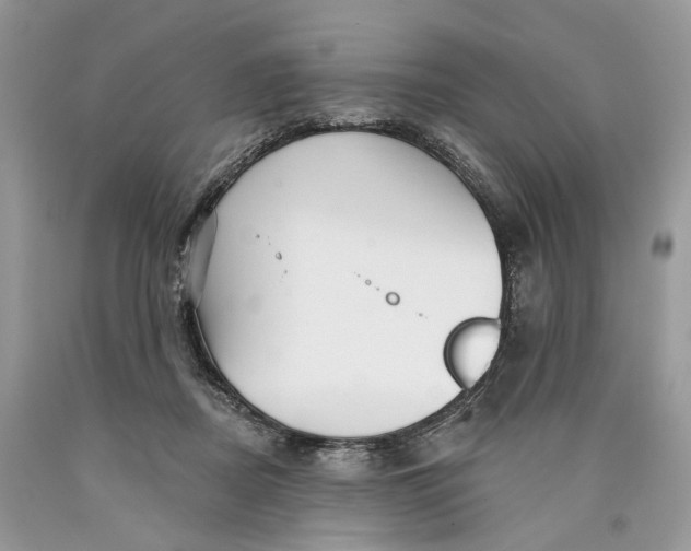 X0000089910362200707201801