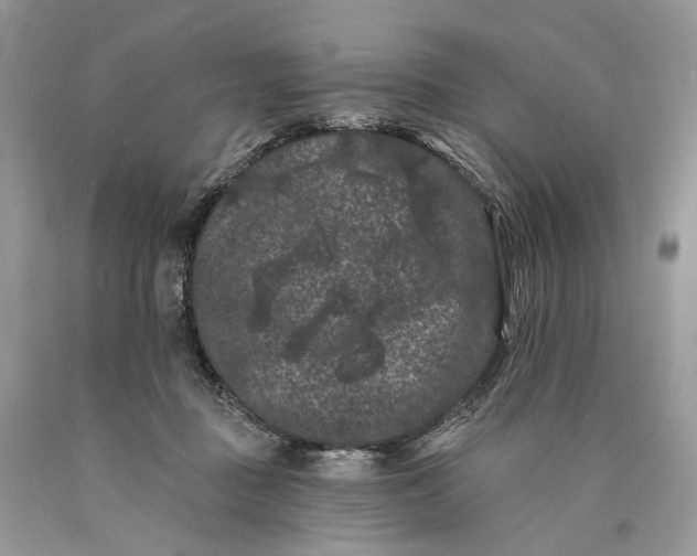 X0000089910363200707201801