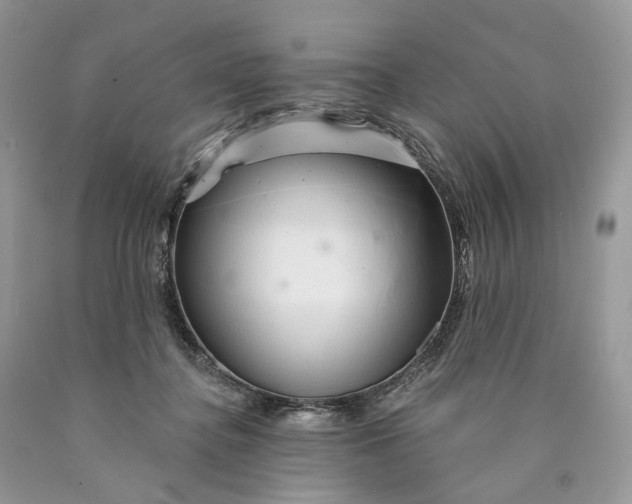 X0000089910364200707201801