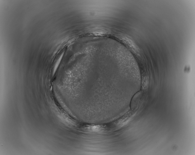 X0000089910365200707201801