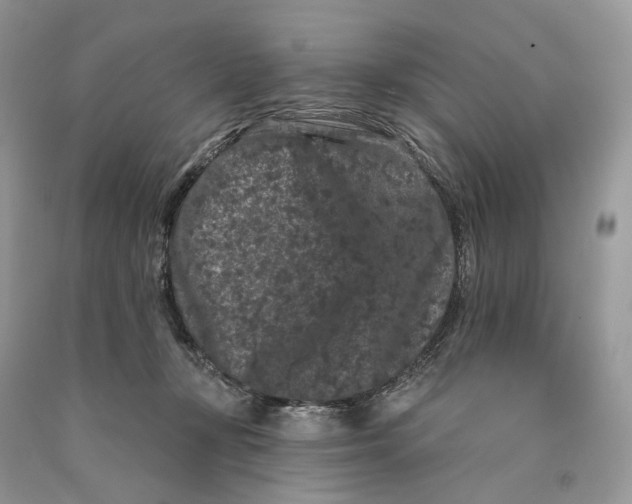 X0000089910367200707201801