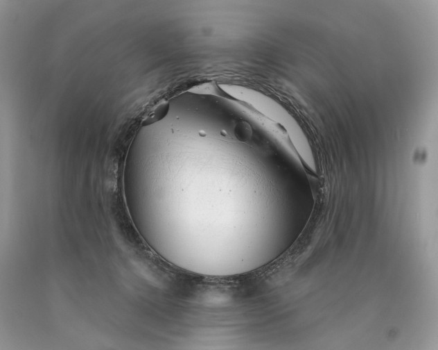 X0000089910368200707201801