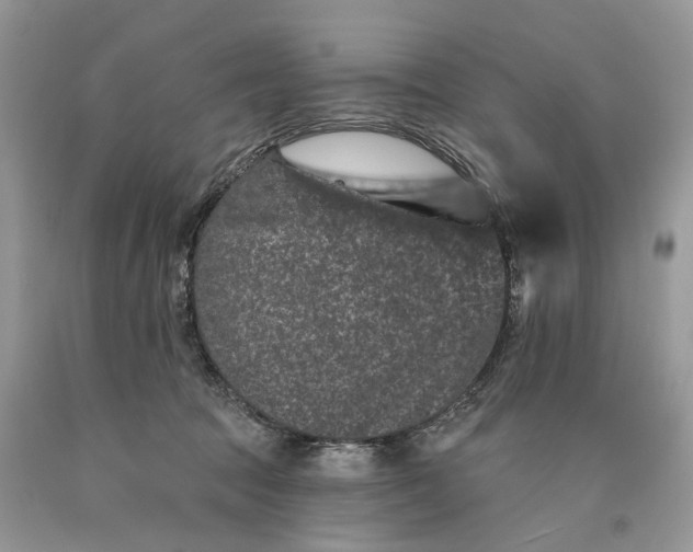 X0000089910369200707201801