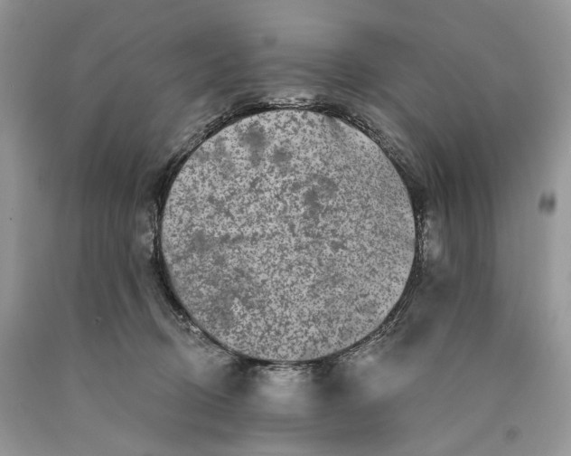 X0000089910370200707201801