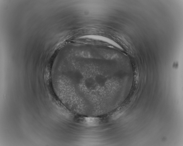 X0000089910371200707201801