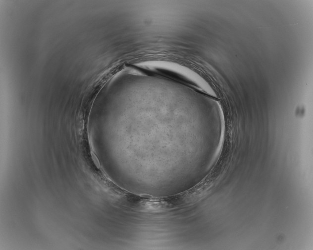 X0000089910372200707201801