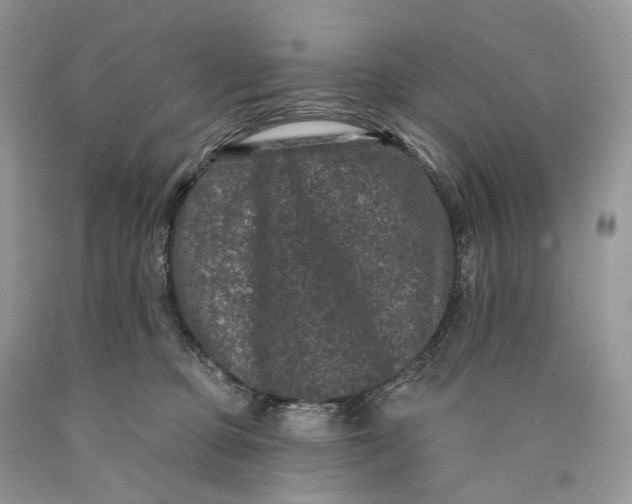 X0000089910373200707201801