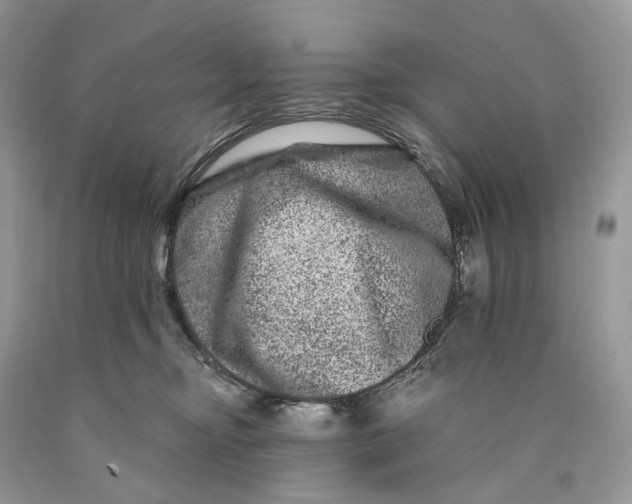 X0000089910374200707201801