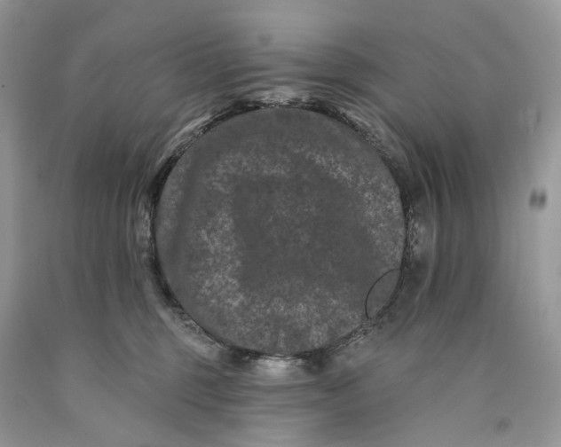 X0000089910375200707201801