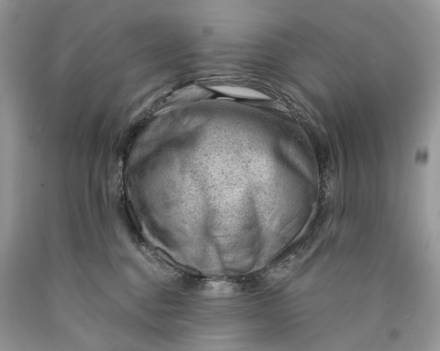 X0000089910376200707201801