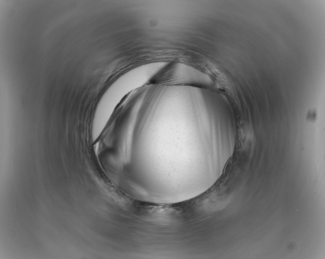 X0000089910379200707201801