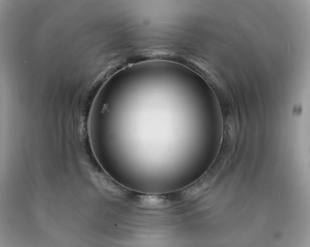 X0000089910380200707201801