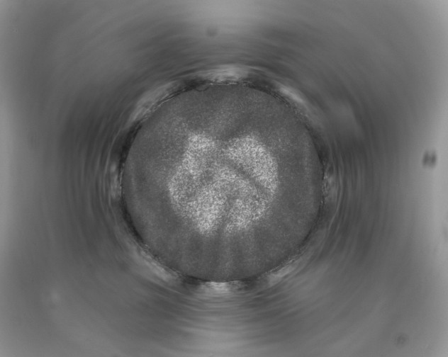 X0000089910381200707201801