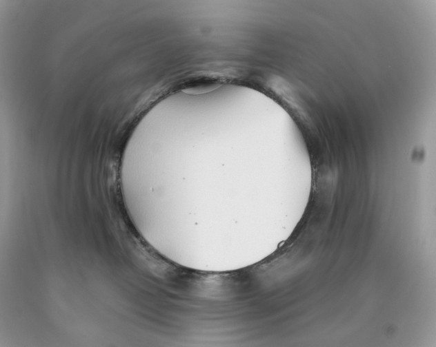 X0000089910382200707201801