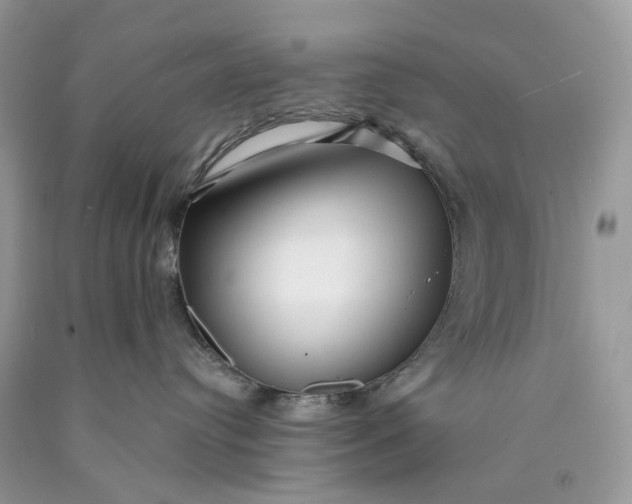 X0000089910384200707201801