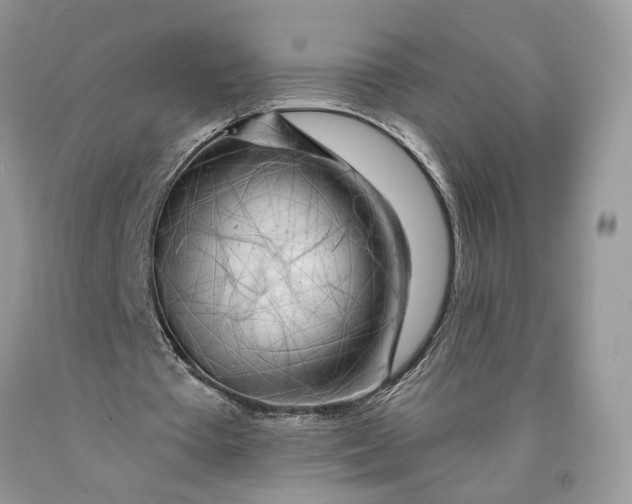 X0000089910385200707201801