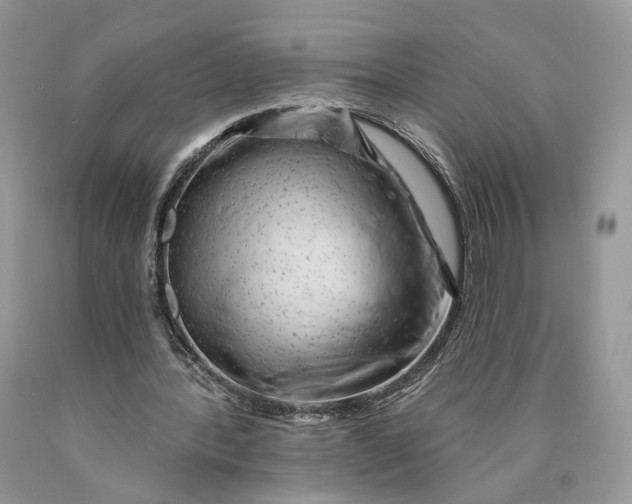 X0000089910388200707201801