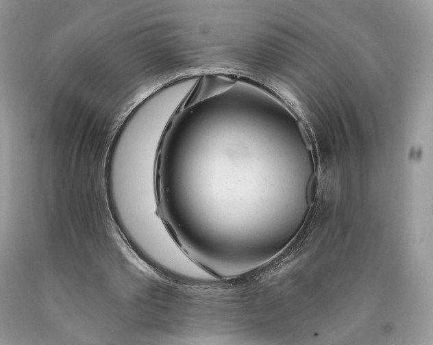 X0000089910389200707201801