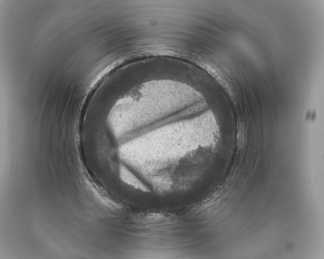 X0000089910390200707201801