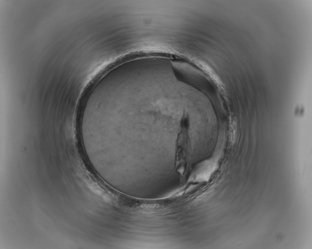 X0000089910391200707201801