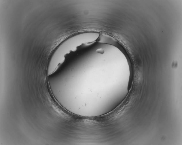 X0000089910393200707201801