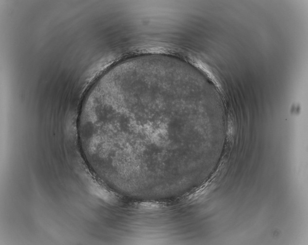 X0000089910394200707201800