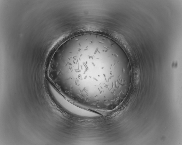 X0000089910395200707201800