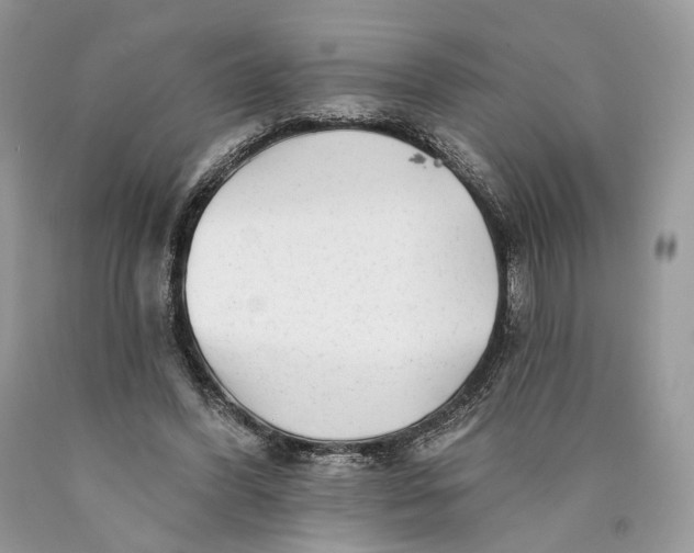 X0000089910396200707201800