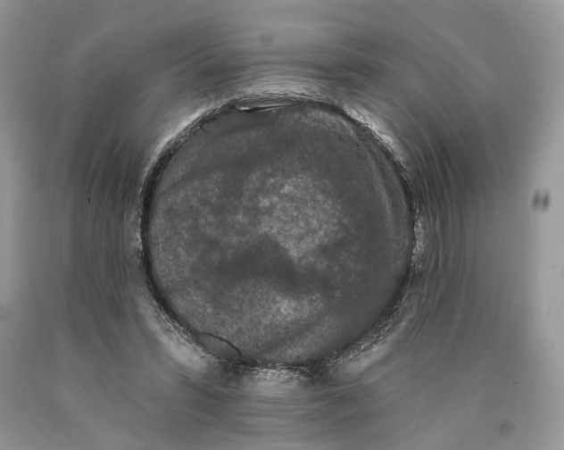 X0000089910399200707201800